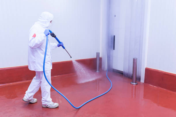 Trusted Brookside, DE Pressure Washing Services Experts
